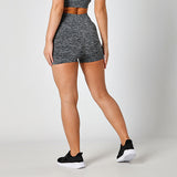 Seamless Grey Ombre Shorts